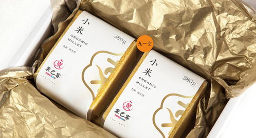 東巴客 休閑食品餐飲品牌全案設計與圖文制作的藝術融合