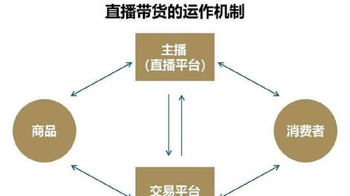 精準抓取客戶資源與多樣化引流 網絡技術服務中的產品延伸策略